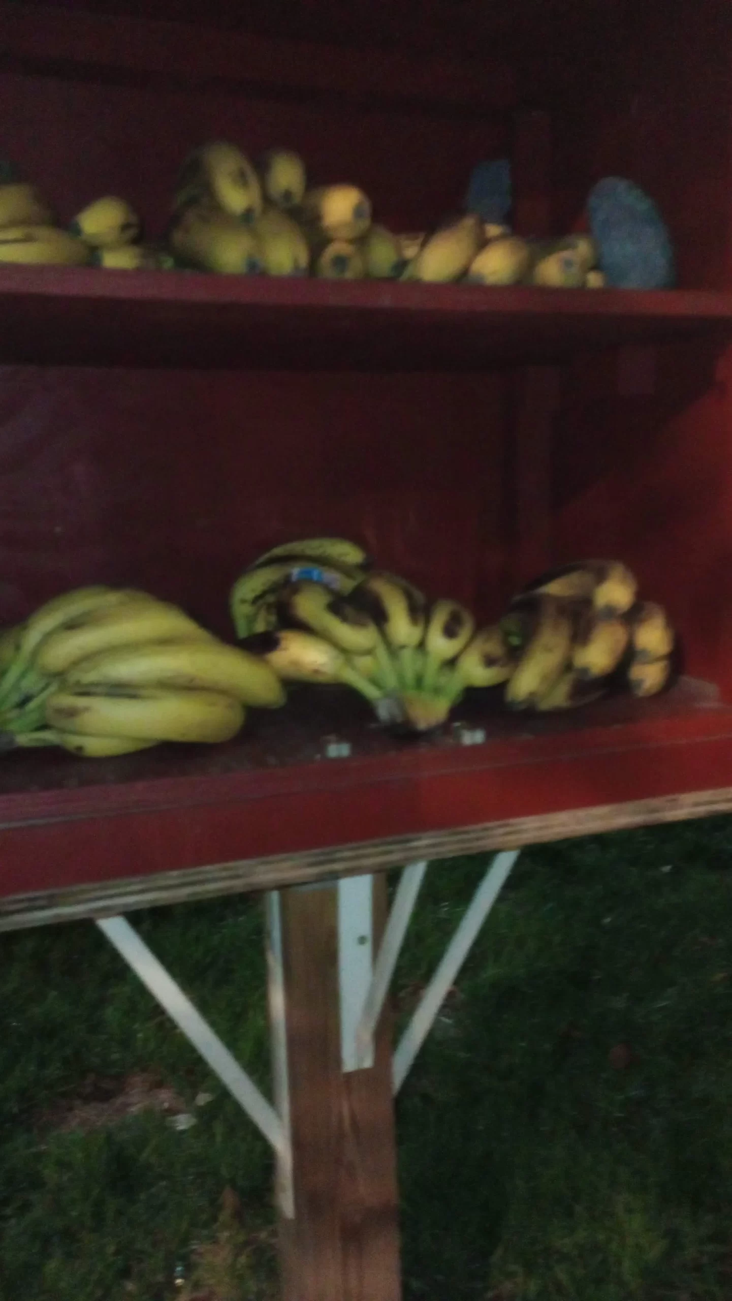 Blessing Box