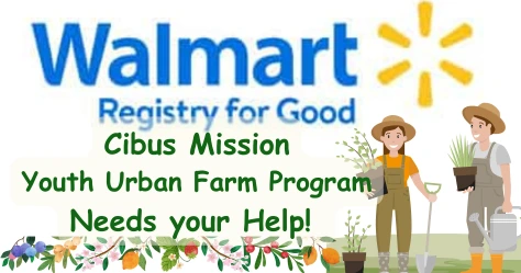 Walmart — Youth Program Sponsor